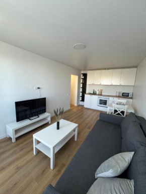 Modern&bright southwest apartment